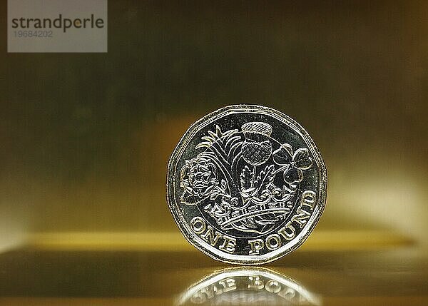 1 Pfund Münze  Vereinigtes Königreich über Gold