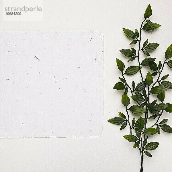 Weißes strukturiertes Papier in der Nähe von künstlichen grünen Zweigen mit Blättern weißen Hintergrund