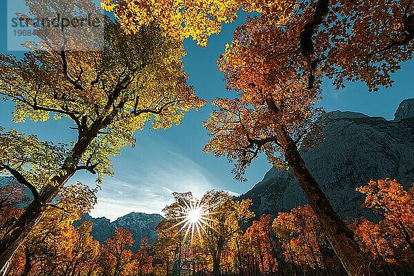 Landschaft  Herbst  Bäume  Sonne  Sonnenstern  bunt  Verfärbung  Ahorn  Berge  Natur  gelb  rot  farbig  Ahornboden  Eng  Karwendel  Tirol  Österreich  Europa