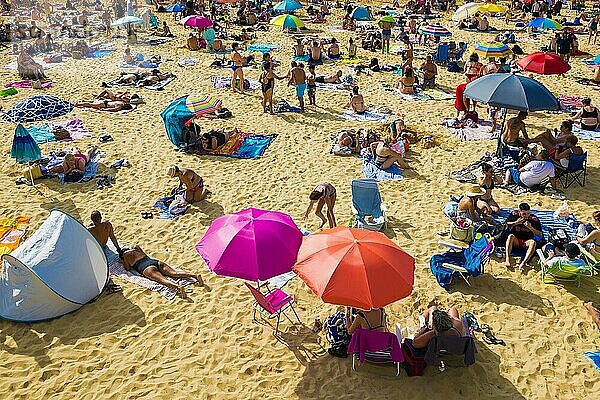 Voller Strand mit Menschen im August  San Sebastian  Donostia  Baskenland  Nordspanien  Spanien  Europa