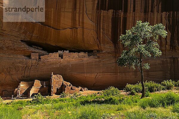 White house ruin  Ureinwohner  Indianer  Indigene im Chelly Canyon  Arizona  USA  Nordamerika