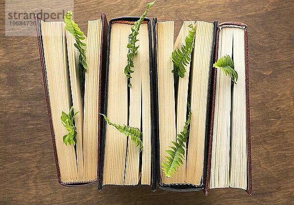 Draufsicht Bücher Pflanzen Anordnung