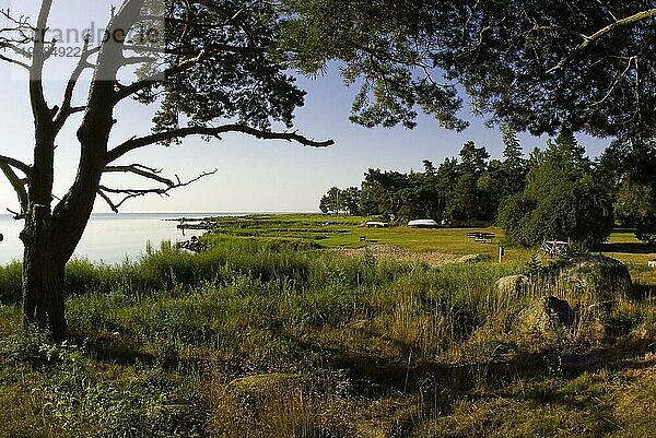 Küstenlandschaft in der Morgensonne  Meer  Ostsee  Skandinavien  in Bergkvara  Schweden  Europa