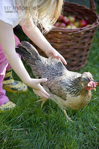 Junges Mädchen versucht  ein Huhn zu fangen