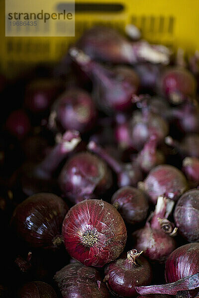 Rote Zwiebeln im gelben Korb