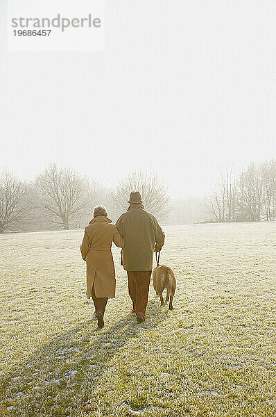 Rückansicht eines älteren Paares  das mit einem Hund in einem frostigen Park spaziert