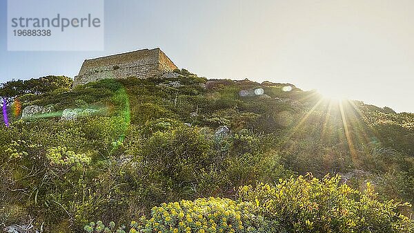 Gegenlicht  grüner Hang  Gegenlicht  Sonne als Stern  Torre Saracena  Viereckiger Wehrturm  Levanzo  Ägadische Inseln  Sizilien  Italien  Europa