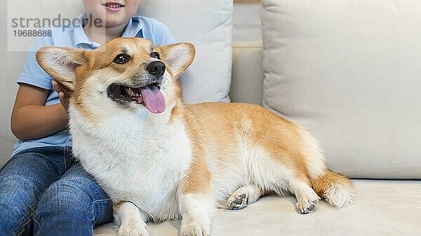 Nahaufnahme eines Jungen  der den Familienhund streichelt