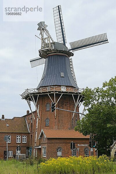 Deichmühle  Windmühle  Norden  Ostfriesland  Niedersachsen  Deutschland  Europa