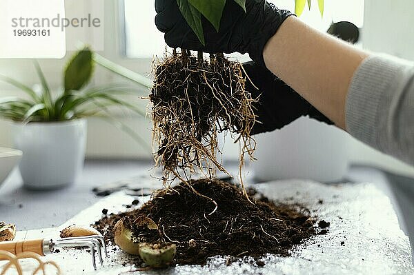 Nahaufnahme einer Hand mit Schutzhandschuhen