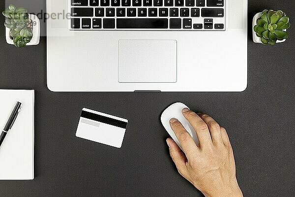 Draufsicht Laptop Sukkulenten Kreditkarte