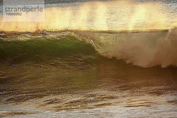 Meer  Welle  Gischt  Gegenlicht  Abendlicht  Madeira  Portugal  Europa