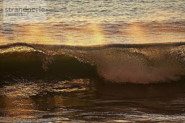 Meer  Welle  Gischt  Gegenlicht  Abendlicht  Madeira  Portugal  Europa