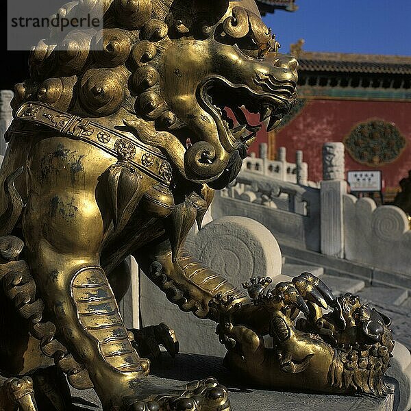 China  Peking: Kaiserpalast (Gugong)  vergoldete Bronzelöwin vor dem Palast der himmlischen Reinheit  Asien