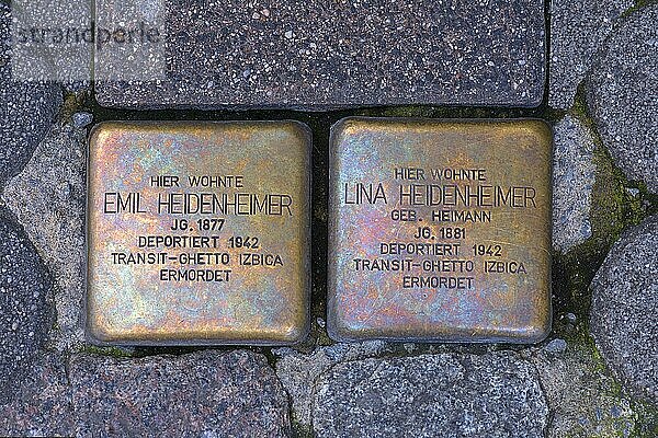 Stolpersteine  Gedenksteine  die an die Menschen erinnern  die im Nationalsozialismus verfolgt  deportiert und ermordet wurden  Nürnberg  Mittelfranken  Bayern  Deutschland  Europa