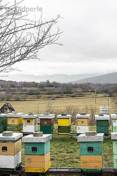 Bienenstöcke im Freien Landleben