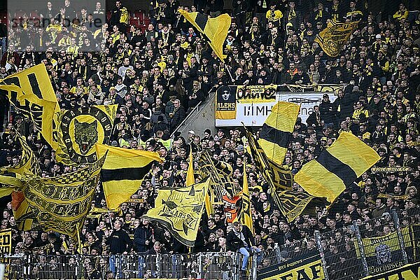 Fanblock  Fans  Fankurve  Flaggen  Fahnen  Stimmung  stimmungsvoll  BVB Borussia Dortmund  MHPArena  MHP Arena Stuttgart  Baden-Württemberg  Deutschland  Europa