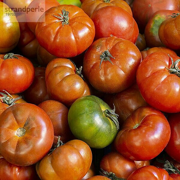 Draufsicht Arrangement mit Tomaten