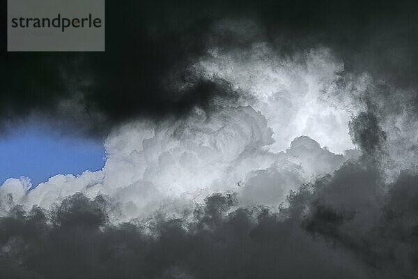 Dunkle bedrohliche Gewitterwolken und Stauwolken  hoch aufragende Kumuluswolken (Kumulus) entwickeln sich am Himmel