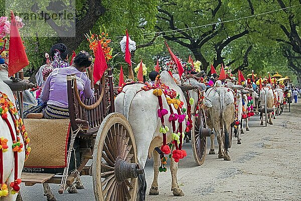 Traditionelle Parade für burmesische Kinder  die Novizenmönche werden  in der Stadt Bagan  Pagan  Region Mandalay  Myanmar  Birma  Asien