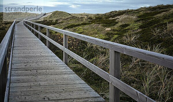 Holzsteg durch die Dünen zum Meer  Rotes Kliff  Kampen  Nordseeinsel Sylt  Nordfriesland  Schleswig-Holstein  Deutschland  Europa