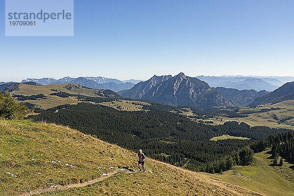 Wanderin am Weg zum Labenberg  Postalm  Osterhorngruppe  Salzkammergut  Land Salzburg  Österreich  Europa