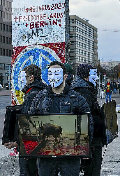 Kundgebung gegen Tierversuche  Teilnehmer mit Guy Fawkes Maske  Vendetta  Potsdamer Platz  Berlin  Deutschland  Europa