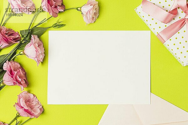 Blank Grußkarte Geschenk rosa eustoma Blume hellgrün Hintergrund