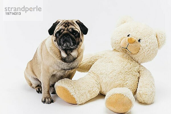 Adorable Erwachsenen Mops großen Teddybär Plüschtier