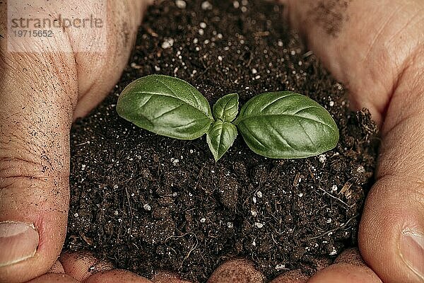 Close up männliche Hände halten Erde wachsenden Pflanze