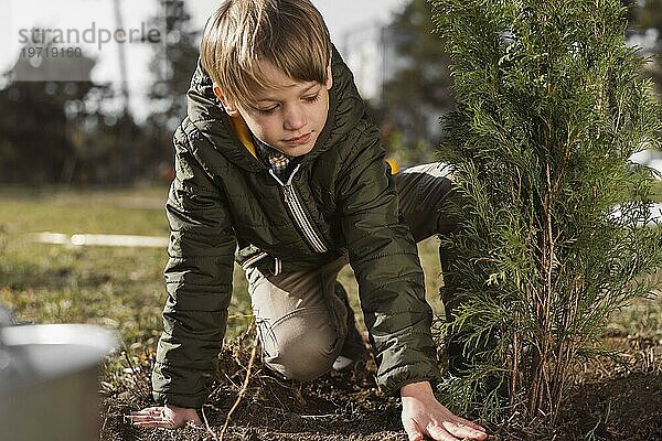 Junger Junge pflanzt Baum im Freien