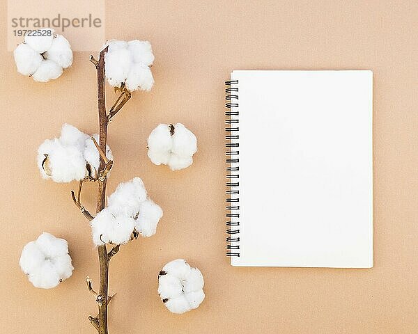 Draufsicht Arrangement mit Baumwollblumen Notizbuch