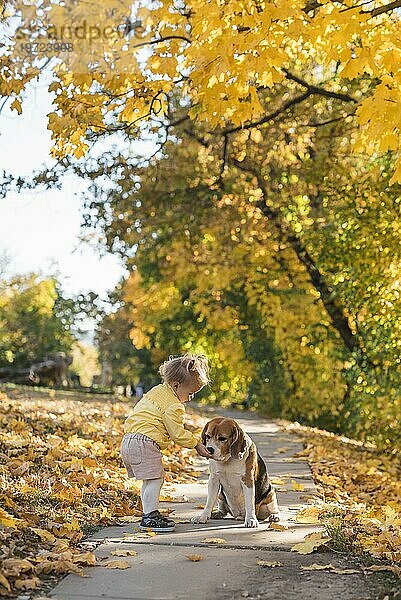 Kleines Mädchen füttert ihren Beagle dot park