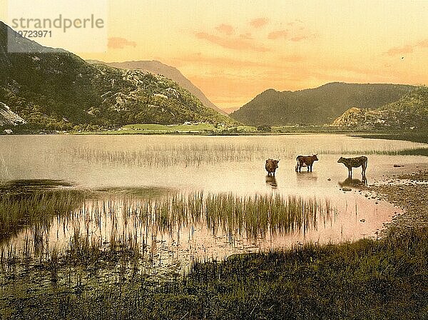 Cwynant Valley  Llyn Dinas  ein See in der Nähe von Beddgelert  Gwynedd in Nordwales  1880  Historisch  digital verbesserte Reproduktion eines Photochromdruck der damaligen Zeit