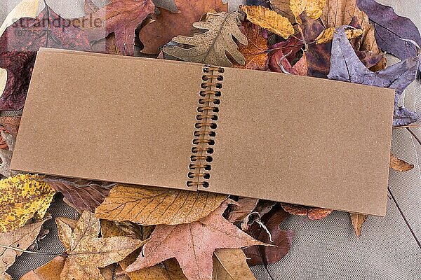 Blankonotizbuch mit gefallenen Herbstblättern als Hintergrund öffnen