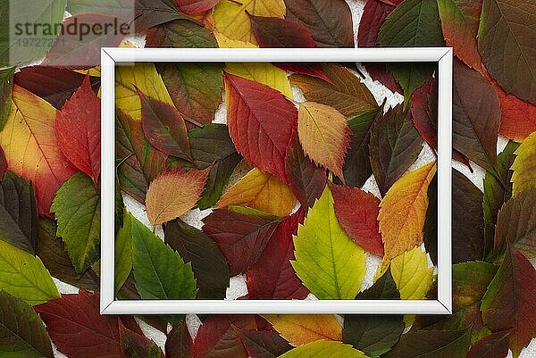 Draufsicht farbige Herbstblätter mit Rahmen
