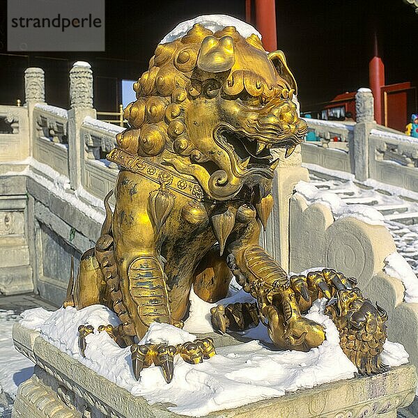 Eine goldene Löwenstatue in der Verbotenen Stadt  Palastmuseum  Zijin Cheng  Peking  China  vor dem Palast der himmlischen Reinheit  Asien