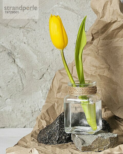 Vorderansicht gelbe Tulpe transparente Vase