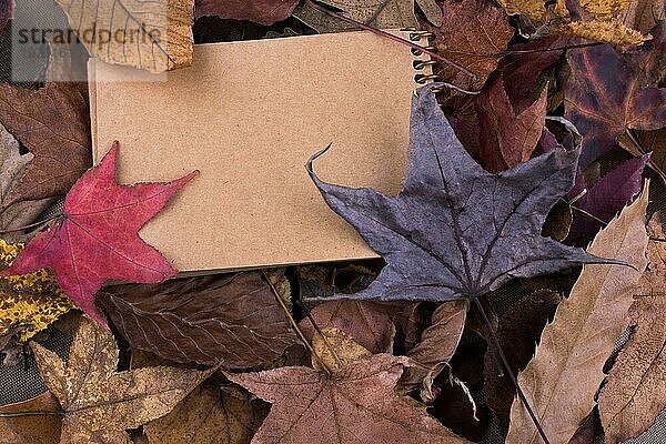 Blankonotizbuch mit gefallenen Herbstblättern als Hintergrund öffnen