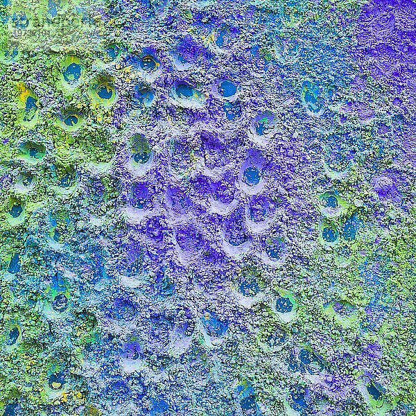 Close up lila grün holi Farbe Pulver Kulisse