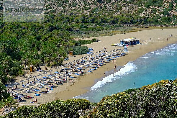 Palmen  Strand  Meer  Urlaub  Reisen  Sonnenbaden  Wellen  Touristen  Attraktion  Relaxen  Hintergrund unscharf  Ausruhen  Schwimmen  Reisende  Vegetation  Vai Beach  Kreta  Griechenland  Europa