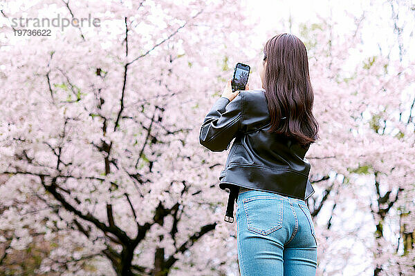 Junge Japanerin mit Smartphone draußen