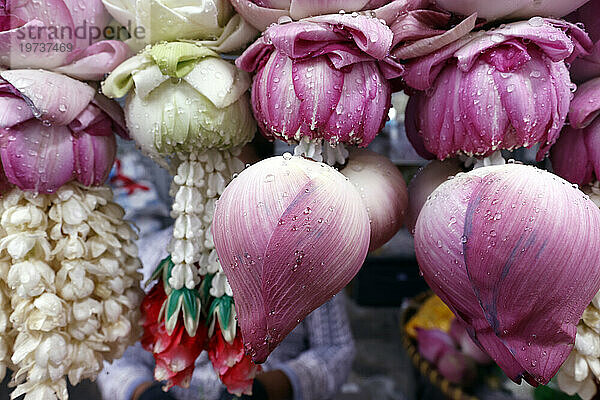 Blumengirlanden als Tempelopfer für hinduistische Zeremonien  indischer Blumenladen im Sri Maha Mariamman Tempel  Bangkok  Thailand  Südostasien  Asien