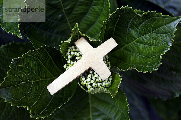 Religiöses Symbol des Gebets in der Natur  christliches Kreuz auf grünen Blättern  Vietnam  Indochina  Südostasien  Asien