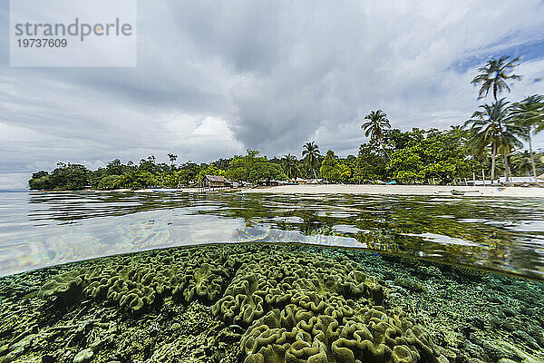 Oben und unten Ansicht des Sauwaderek Village Reef  Raja Ampat  Indonesien  Südostasien  Asien