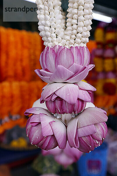 Blumengirlanden als Tempelopfer für hinduistische Zeremonien  indischer Blumenladen im Sri Maha Mariamman Tempel  Bangkok  Thailand  Südostasien  Asien