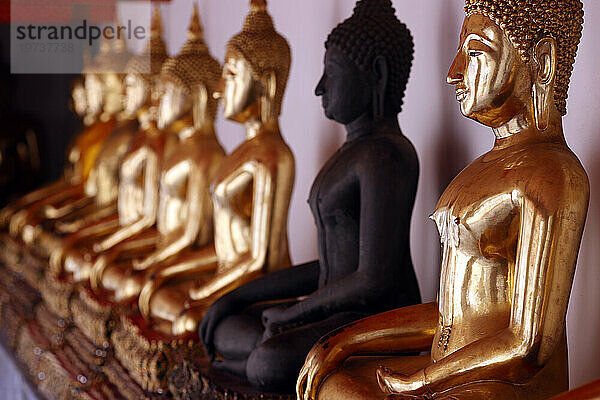 Reihe goldener Buddha-Statuen  Geste des Erdzeugen  Wat Pho (Tempel des liegenden Buddha)  Bangkok  Thailand  Südostasien  Asien