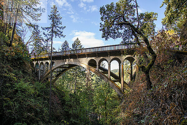 Brücke entlang des Columbia River Highway  Oregon  Vereinigte Staaten von Amerika  Nordamerika