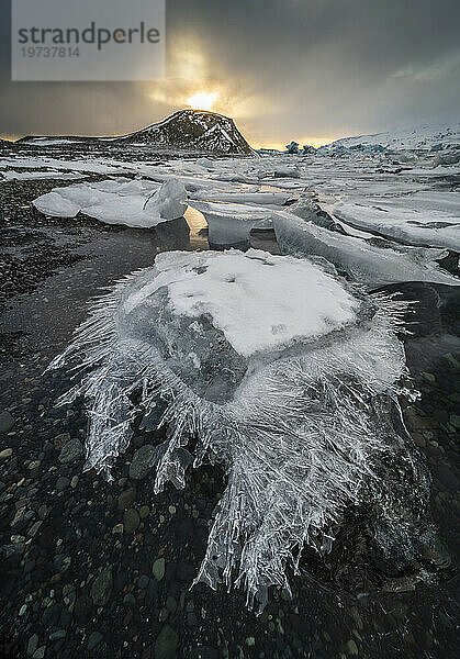 Ice shard  Jokulsarlon Ice Lagoon  sunset  Iceland  Polar Regions