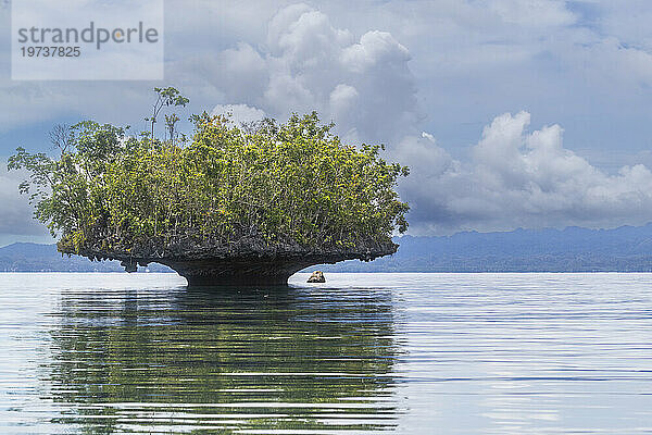 Ein Blick auf mit Vegetation bedeckte Kalksteininseln  Gam Island  Raja Ampat  Indonesien  Südostasien  Asien